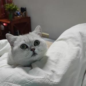 老菜闲话 头像