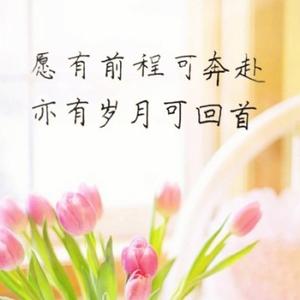 滚不动的大球 头像