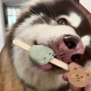 胖宝宝指南 头像