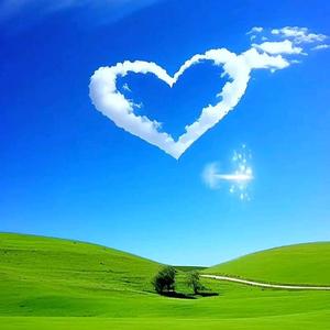 中年情感洞见 头像