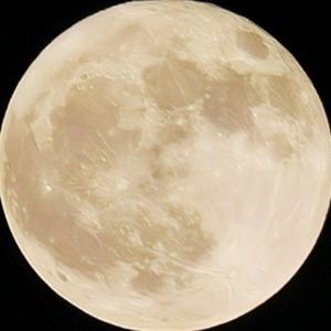 明明就是名场面 头像