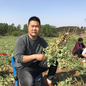 乡村小胡 头像
