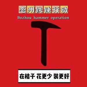 亳州铁锤行动 头像