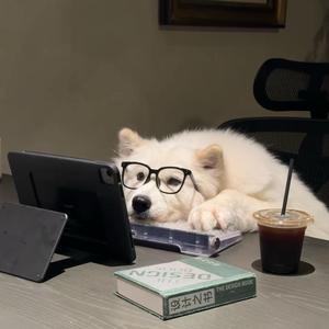 乘风破浪的奶茶JiYNf 头像