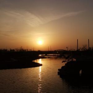 夜观天象的小张 头像