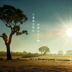风吹过的地方2m6u