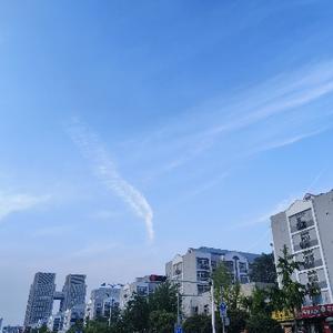 小张讨论室 头像