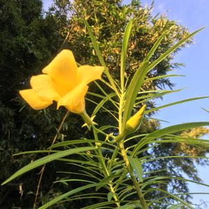 开心的轮回四季