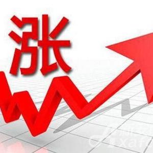 股股生金 头像