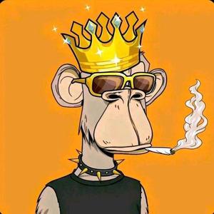 不懂就问合作款 头像