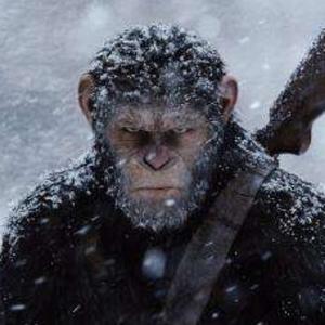 追梦猿原梦人 头像