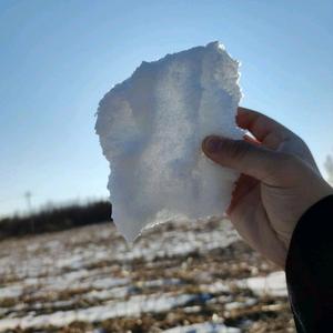 英明果断凡凡凡 头像