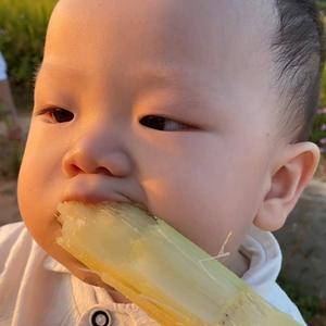 嘻嘻麻麻vlog 头像