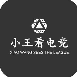 小王带你看电竞 头像