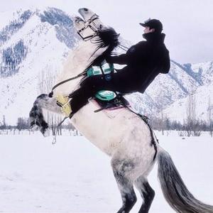 驴驴（卧薪尝胆） 头像