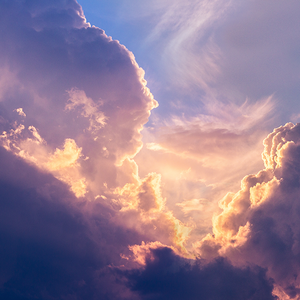 笨蛋的小白不白 头像