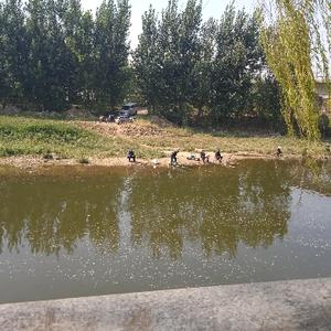 王牌炸一下