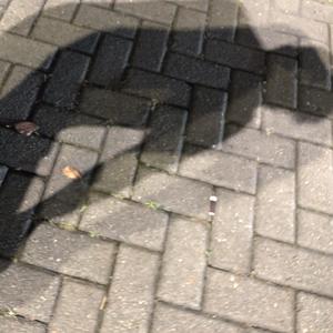 羡沐渔 头像