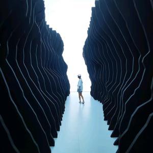 老施真会玩 头像