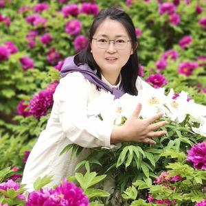 幸运的小杨 头像