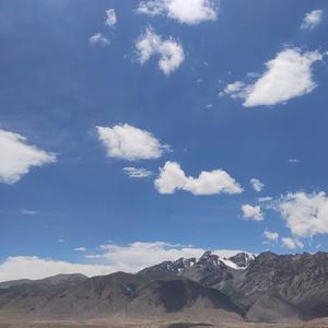 沉梦昂志 头像