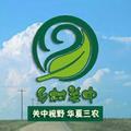 乡村关中