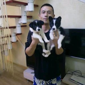 快递小峰哥 头像