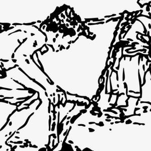 退休后的平凡生活 头像