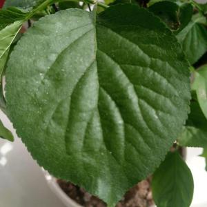 头条问答 Infp如何在工作 生活中与intj相处 1个回答