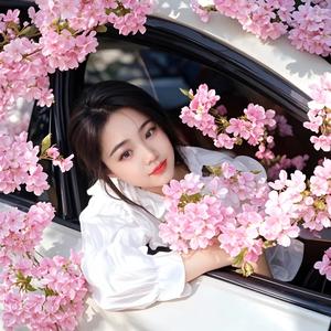 比亚迪海鸥小姐姐 头像