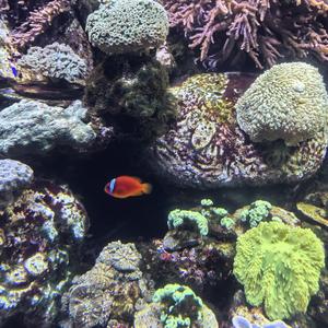 娱乐神探队 头像