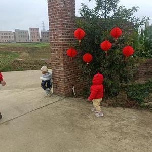静静33 头像
