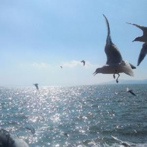 俏哥做家政 头像