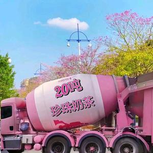 沙漠里的绿洲 头像