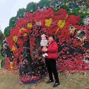 橙宝宝🍊 头像