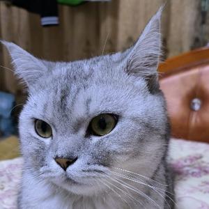 喵星管理员admin 头像