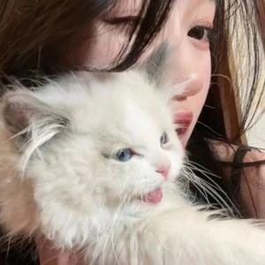 念岁里 头像