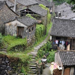 大猛游世界 头像