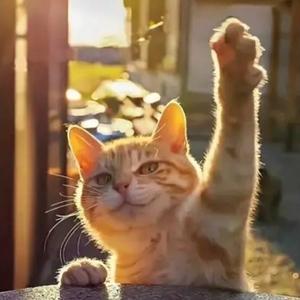 清澈牢九门 头像