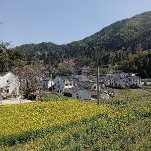 用户8635794519696 头像