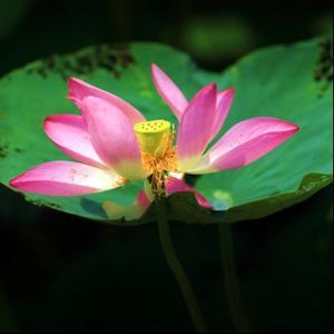 探访三矿张庄矿 - 今日头条