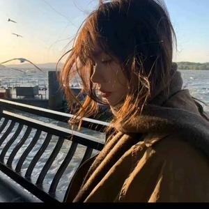 岭下牧群羊 头像