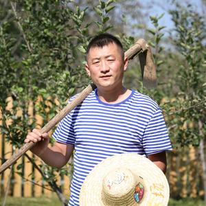 农场主田叔叔 头像