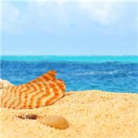 娱说娱趣聊 头像