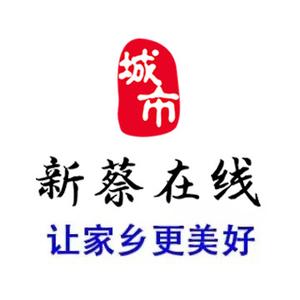 新蔡在线公司