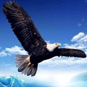 顽强漂流瓶 头像