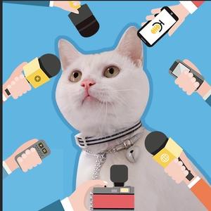 把话筒递给猫 头像