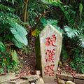 麥講 头像