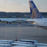 爱丽丝梦醒 头像