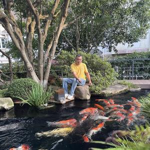 鲤想家华仔 头像